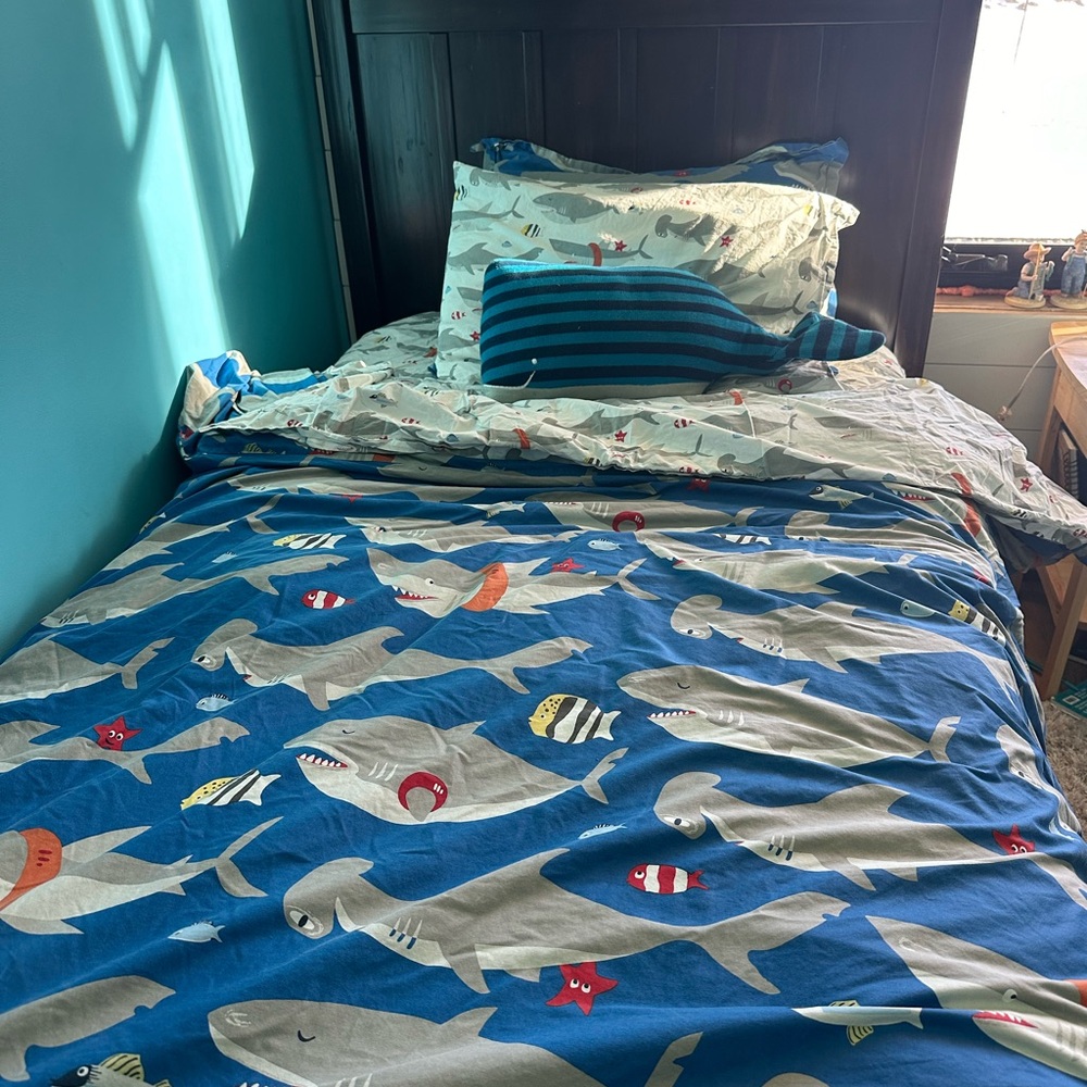 Pottery Barn Kids Shark Print Bedding Set -1 Twin Duvet and 1 Twin Sheet Set